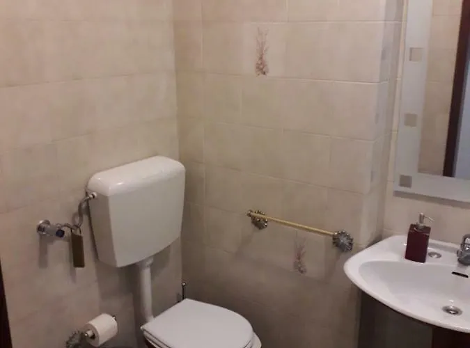 300 Metros Do Santuario De T4 公寓 *